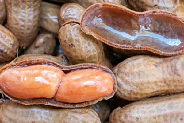 Crockpot Southern Boiled Peanuts Recipe