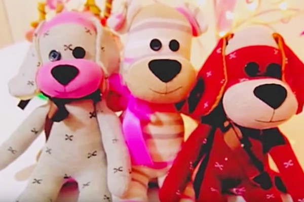 Learn How To Make DIY Sock Puppy Dogs