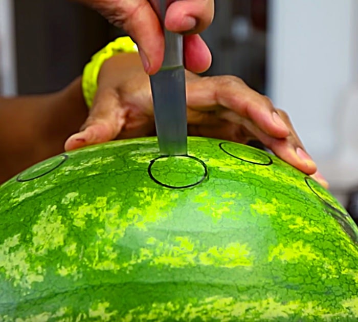Learn to make an alcoholic beverage using a watermelon