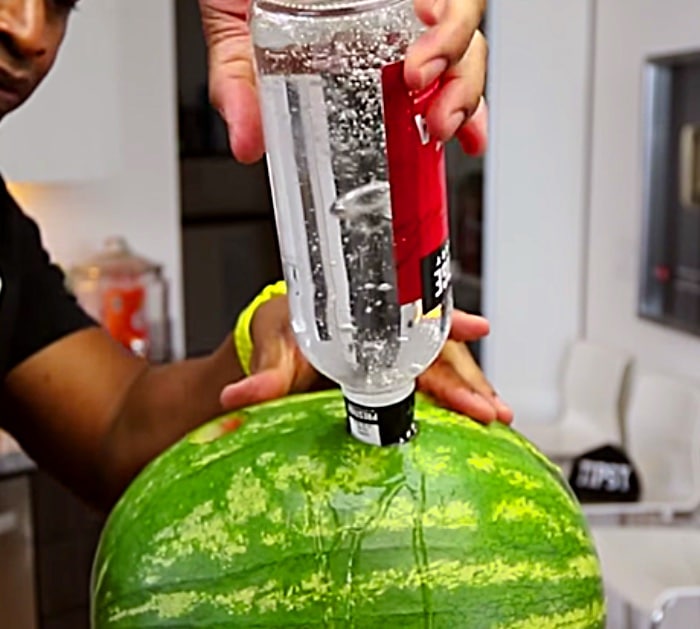 Learn to make a party drink an alcoholic beverage using a watermelon