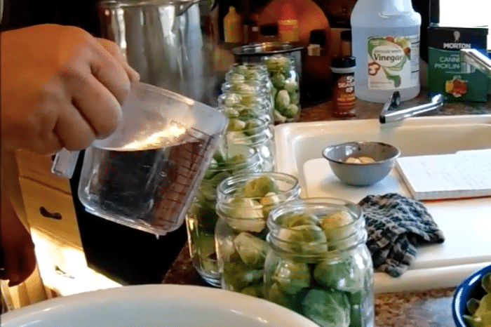DIY pickled brussel sprouts