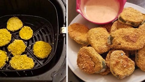 Air Fryer Fried Pickles | DIY Joy Projects and Crafts Ideas