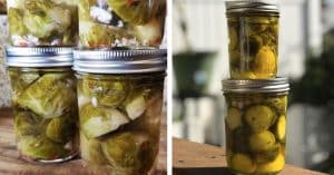 Pickled Brussel Sprouts Recipe