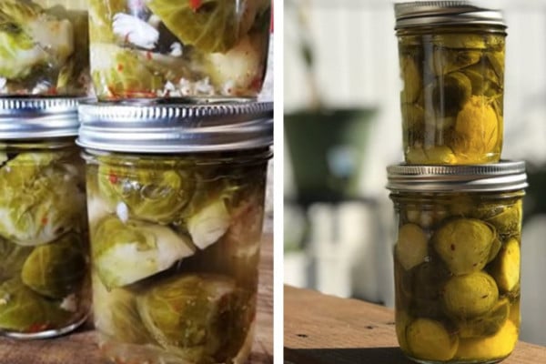 brussel-sprout-pickles-recipe