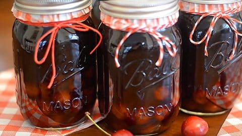 Cherry Pie Moonshine Recipe | DIY Joy Projects and Crafts Ideas