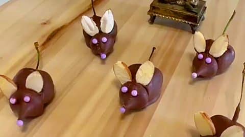 Chocolate Covered Cherry Mice Recipe | DIY Joy Projects and Crafts Ideas