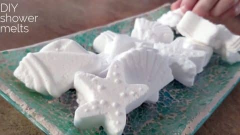 DIY Shower Melts | DIY Joy Projects and Crafts Ideas