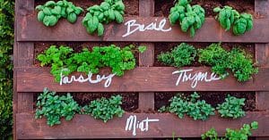 DIY Upcycled Pallet Herb Garden