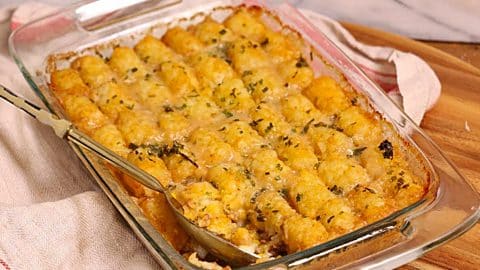 Tater Tot Casserole Recipe | DIY Joy Projects and Crafts Ideas