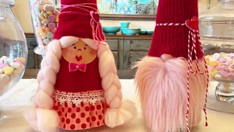 DIY Valentine’s Day Gnome Couple | DIY Joy Projects and Crafts Ideas