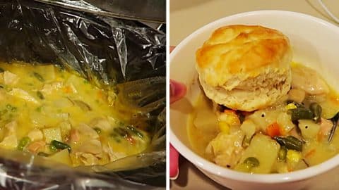 Crockpot Chicken Pot Pie Recipe | DIY Joy Projects and Crafts Ideas