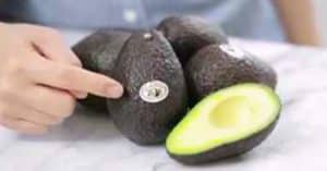 How To Keep Avocados From Turning Brown