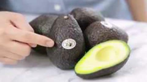 How To Keep Avocados From Turning Brown | DIY Joy Projects and Crafts Ideas