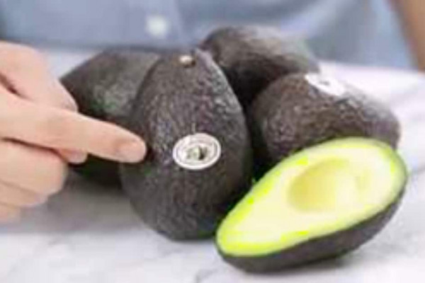 How to stop your avocados from turning brown