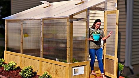 DIY Greenhouse | DIY Joy Projects and Crafts Ideas