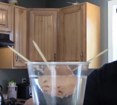 How To Grow An Avocado From A Seed - DIY Joy