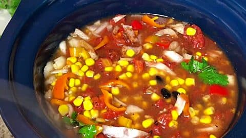 Crockpot Chicken Tortilla Soup Recipe | DIY Joy Projects and Crafts Ideas