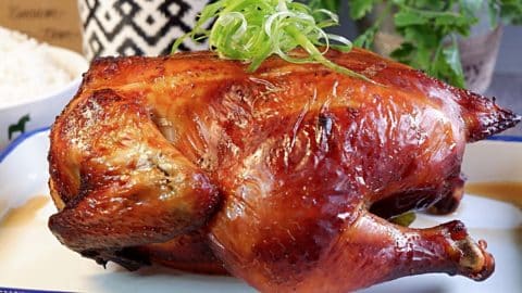 Asian Style Whole Roast Chicken Recipe | DIY Joy Projects and Crafts Ideas