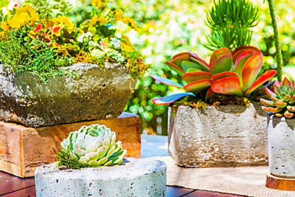 Make DIY Hypertufa Planters