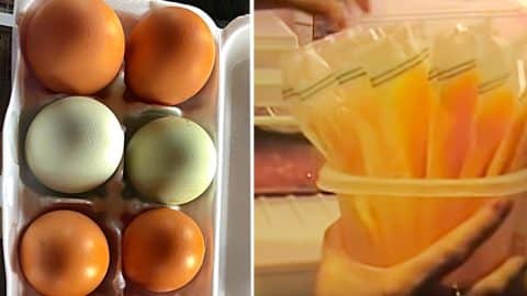How To Freeze Eggs | DIY Joy Projects and Crafts Ideas