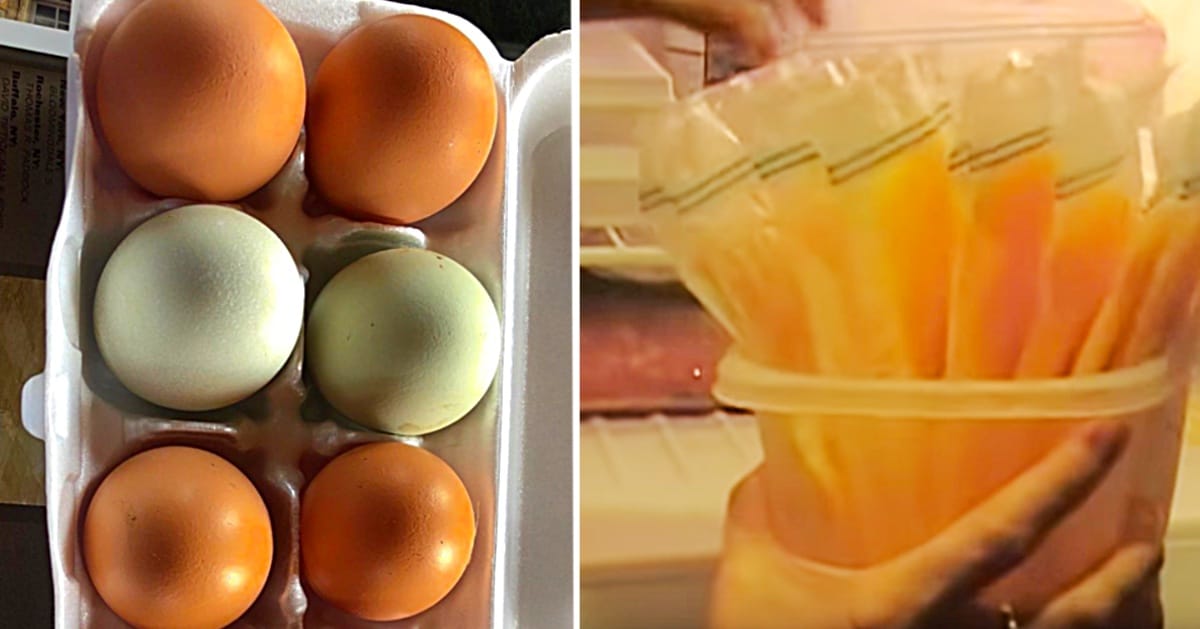 How To Freeze Eggs | DIY Joy Projects and Crafts Ideas