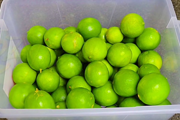 How To Keep Limes Fresh Longer