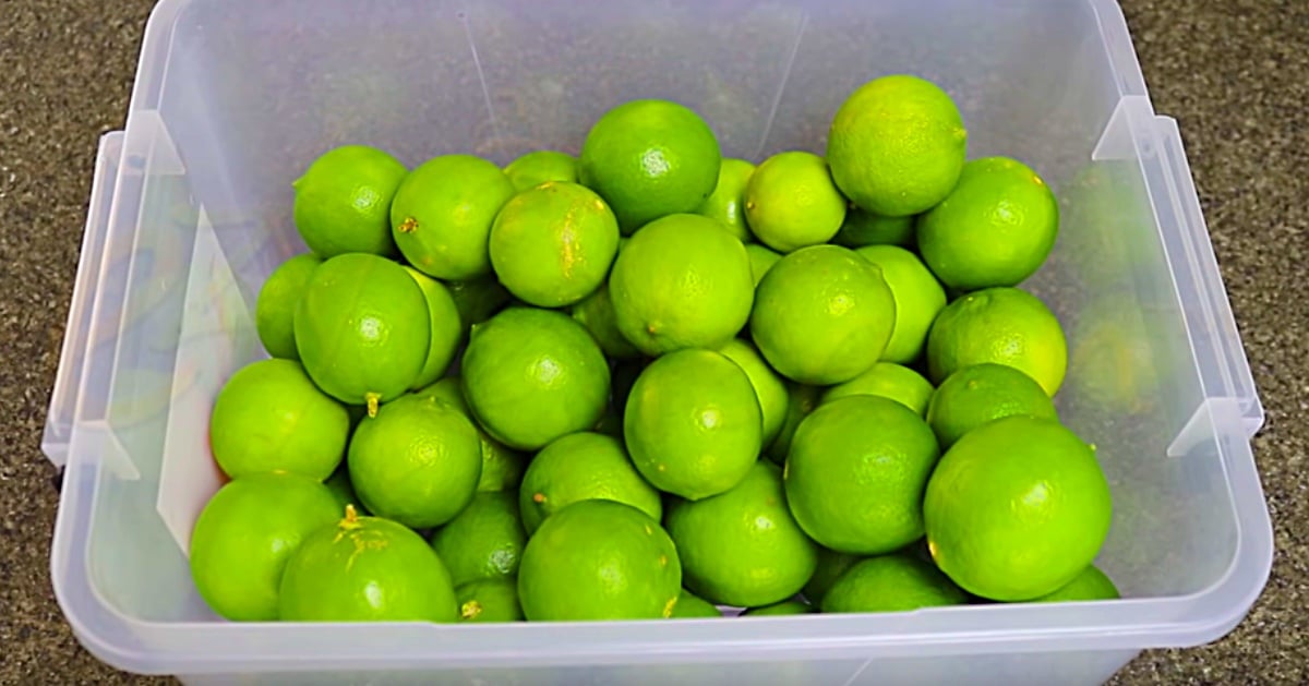 How To Store Lemons So They Stay Fresh Longer