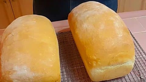 Homemade Bread Recipe for Beginners | DIY Joy Projects and Crafts Ideas
