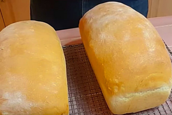 Homemade bread recipe for beginners