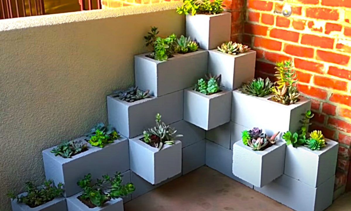 Cinder Block Planter Ideas: 5 Creative Ways for Stylish Planting - Struck  Corp