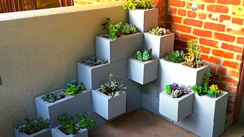 How To Make A Cinder Block Succulent Tower | DIY Joy Projects and Crafts Ideas