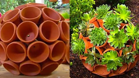 DIY Clay Pot Garden Art | DIY Joy Projects and Crafts Ideas