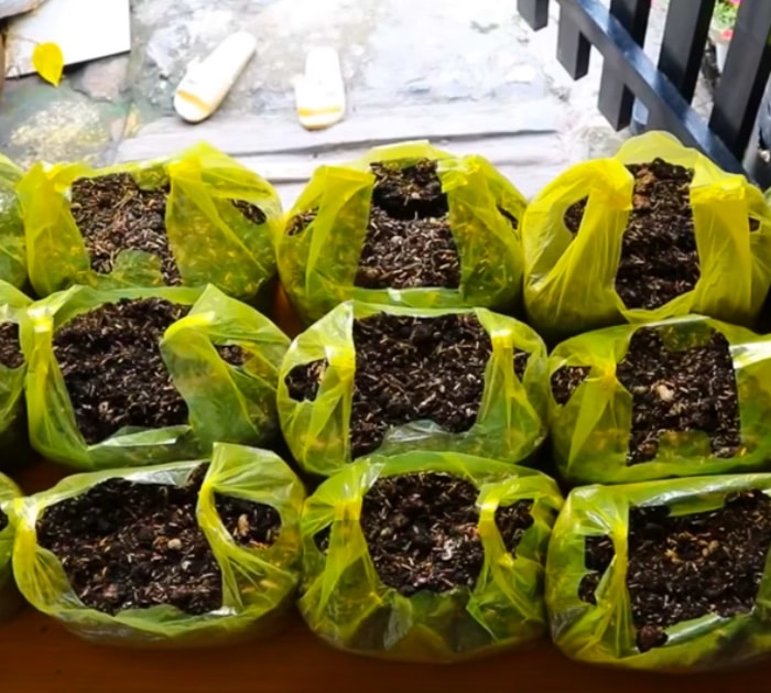 Grow all kinds of vegetables and salad greens in plastic bags