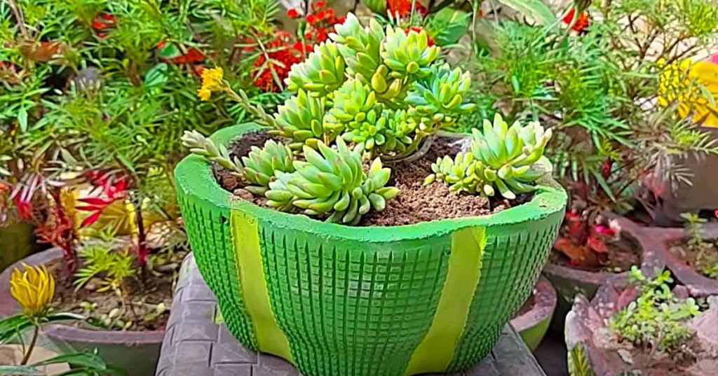 Make a boho planter with cement and a laundry basket that is used as a mold