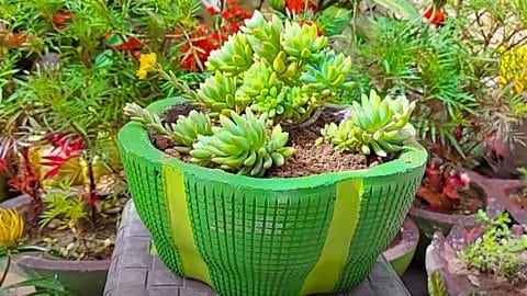 Make A Cement Pot Using A Laundry Basket For A Mold | DIY Joy Projects and Crafts Ideas