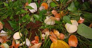 How To Make Compost Properly