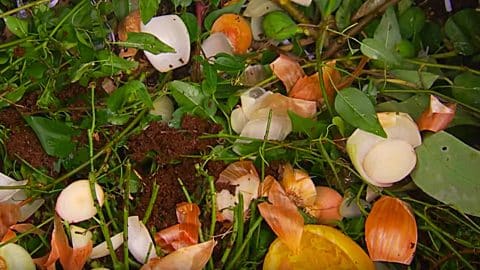 How To Make Compost Properly | DIY Joy Projects and Crafts Ideas