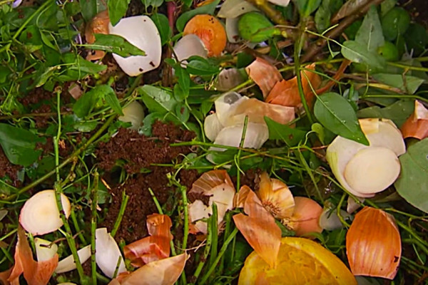 How to make and maintain compost properly