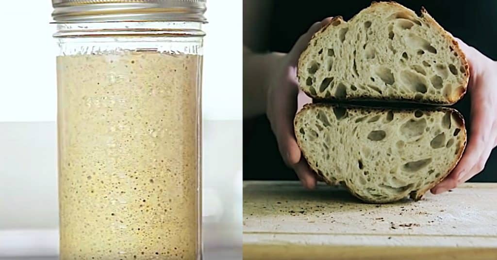 Make a homemade sourdough starter culture for European style bread
