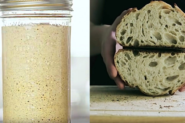 Make a homemade sourdough starter culture for European style bread