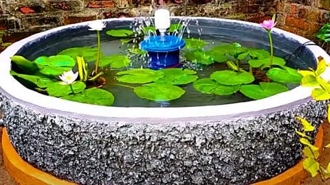 How To Build A Backyard Pond | DIY Joy Projects and Crafts Ideas
