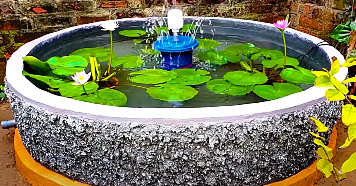 How To Build A Backyard Pond, How To Make A Raised Pond In Your Garden
