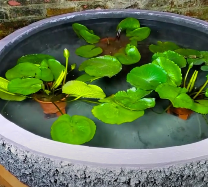 DIY raised garden pond made of bricks