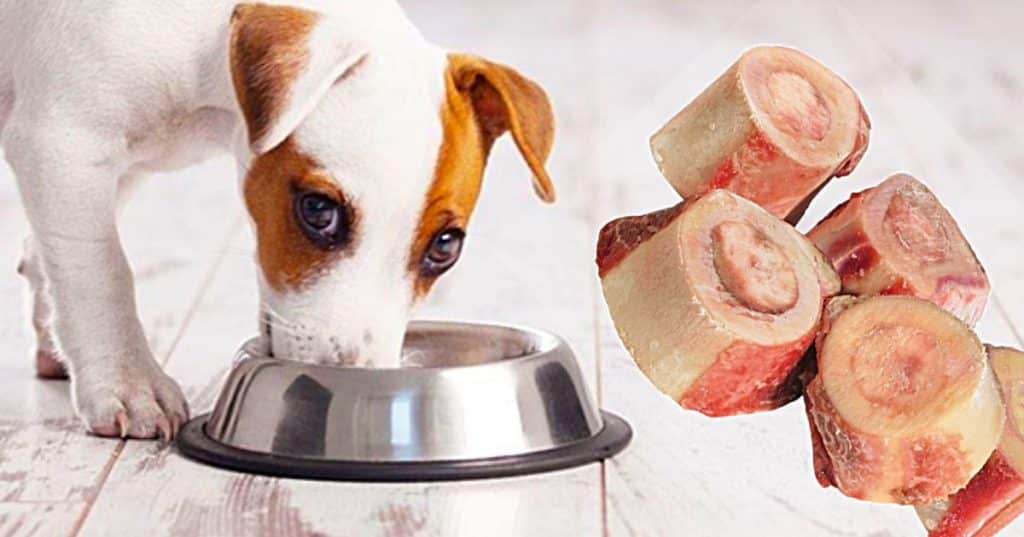 How to make bone broth for dogs in an Instant Pot