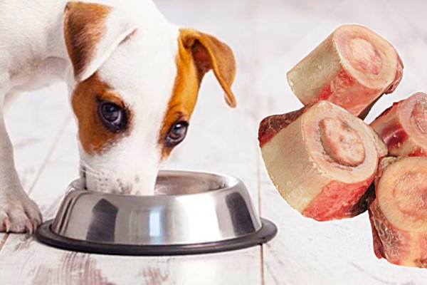 How to make bone broth for dogs in an Instant Pot