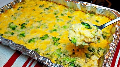 Broccoli Cheese And Rice Casserole Recipe | DIY Joy Projects and Crafts Ideas