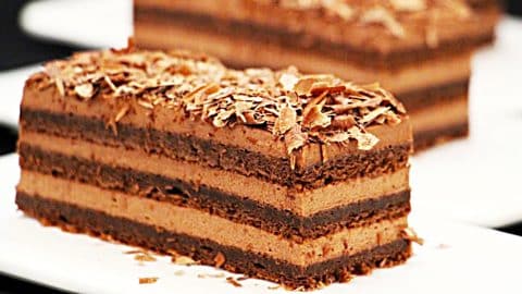 Chocolate Coffee Cake Recipe | DIY Joy Projects and Crafts Ideas