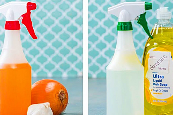3 DIY Garden Bug Spray Recipes