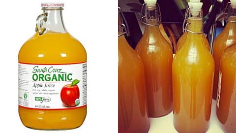 How To Make Hard Cider From Store-Bought Apple Juice | DIY Joy Projects and Crafts Ideas