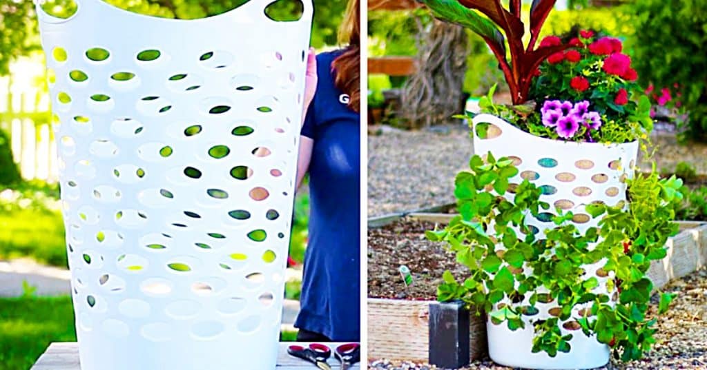 How to make a strawberry planter from a laundry basket using a burlap sack